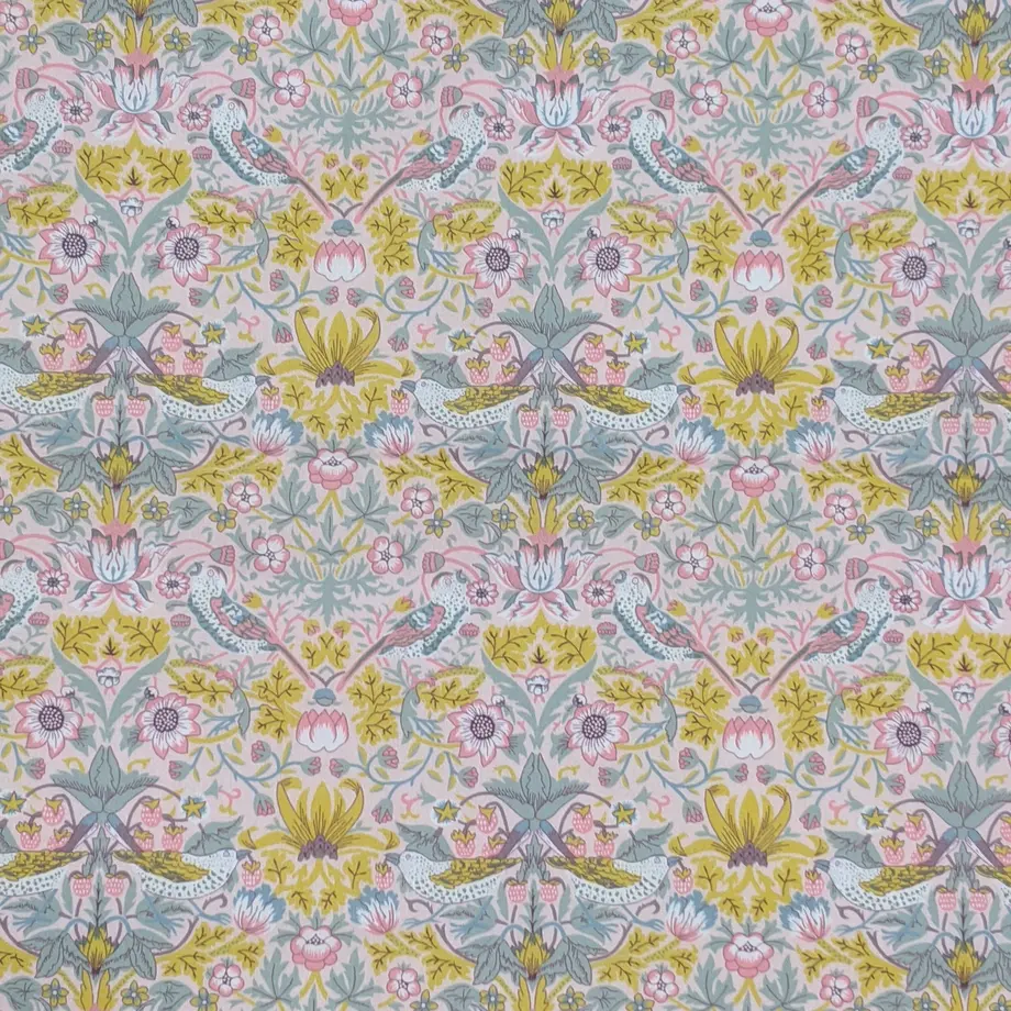 5f6061a98b4f202a2ec35ea8