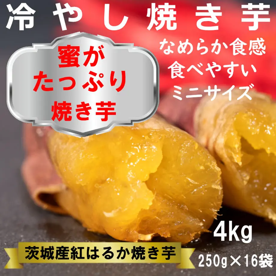 6027d74231862571698c2221