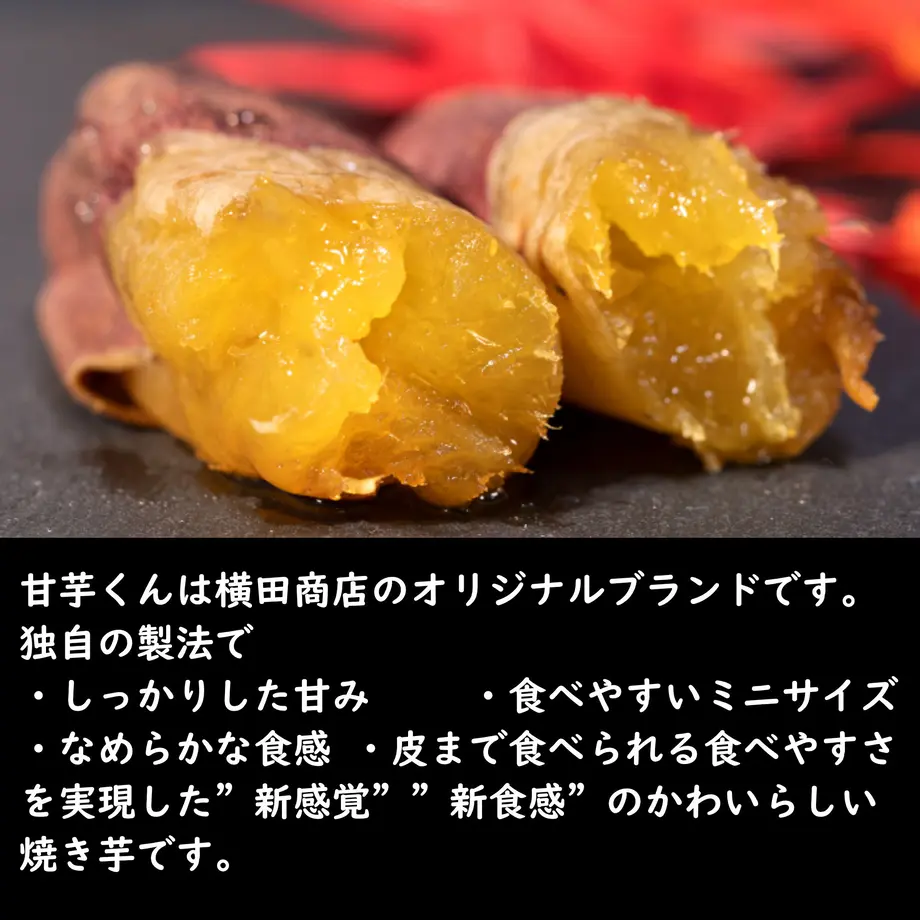 6027d74231862571698c2221