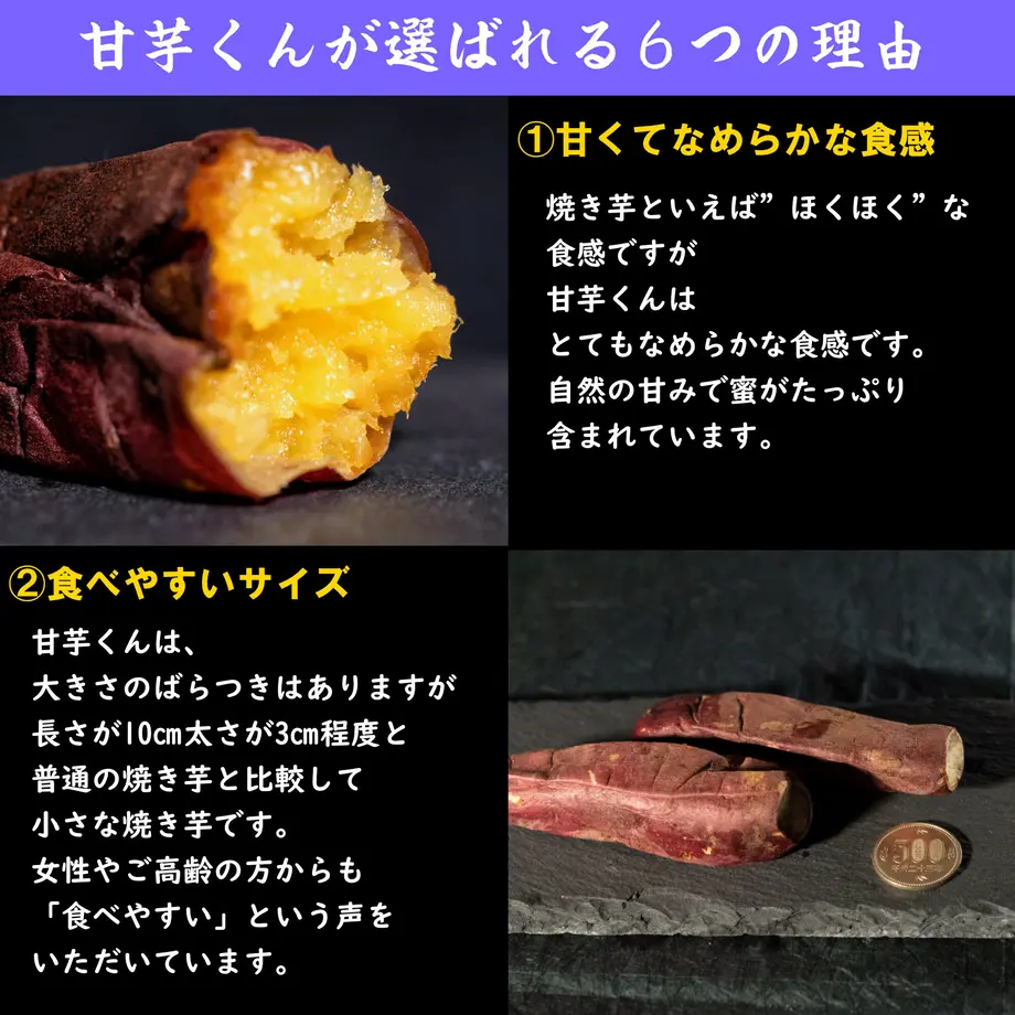 6027d74231862571698c2221