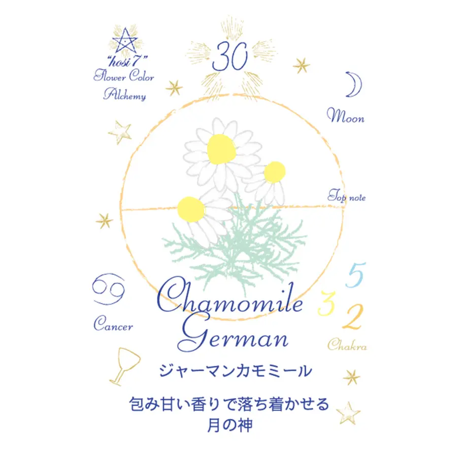 604a3034c19c4532413d3896