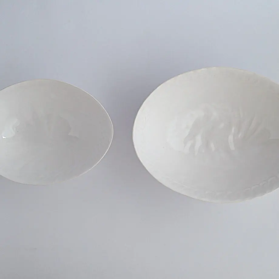 61c036ab7d278d18e7a421b6