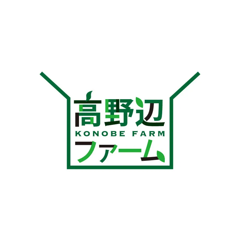 6177556054ddd81fcf393a16