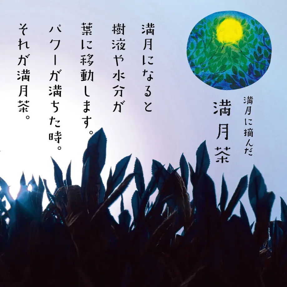 5e4331a2cf327f053943585a