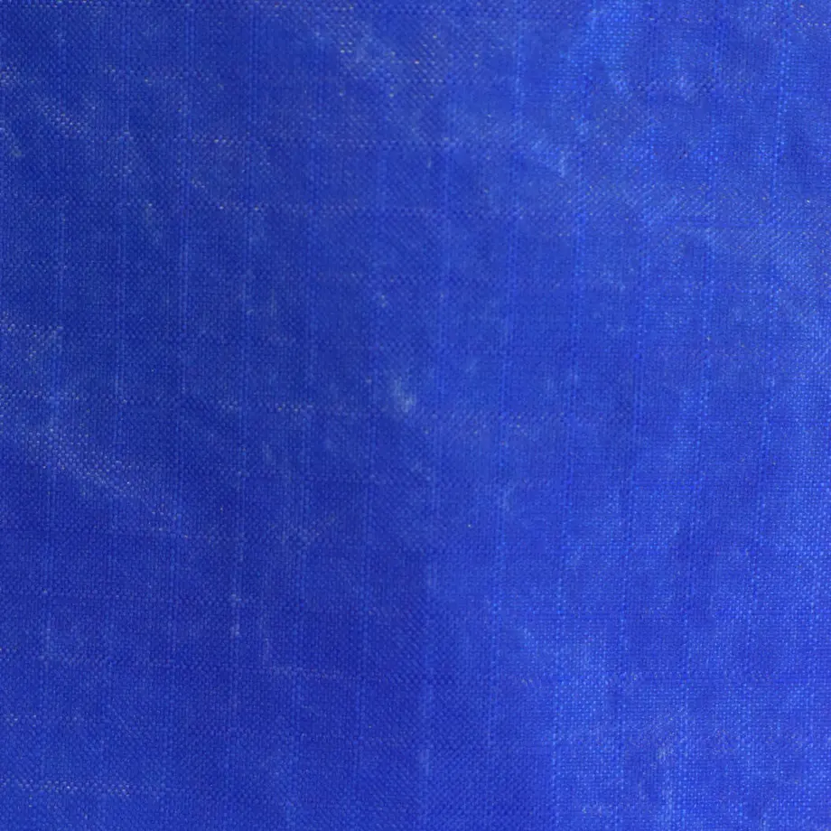 6199c405570f67088e00b99d