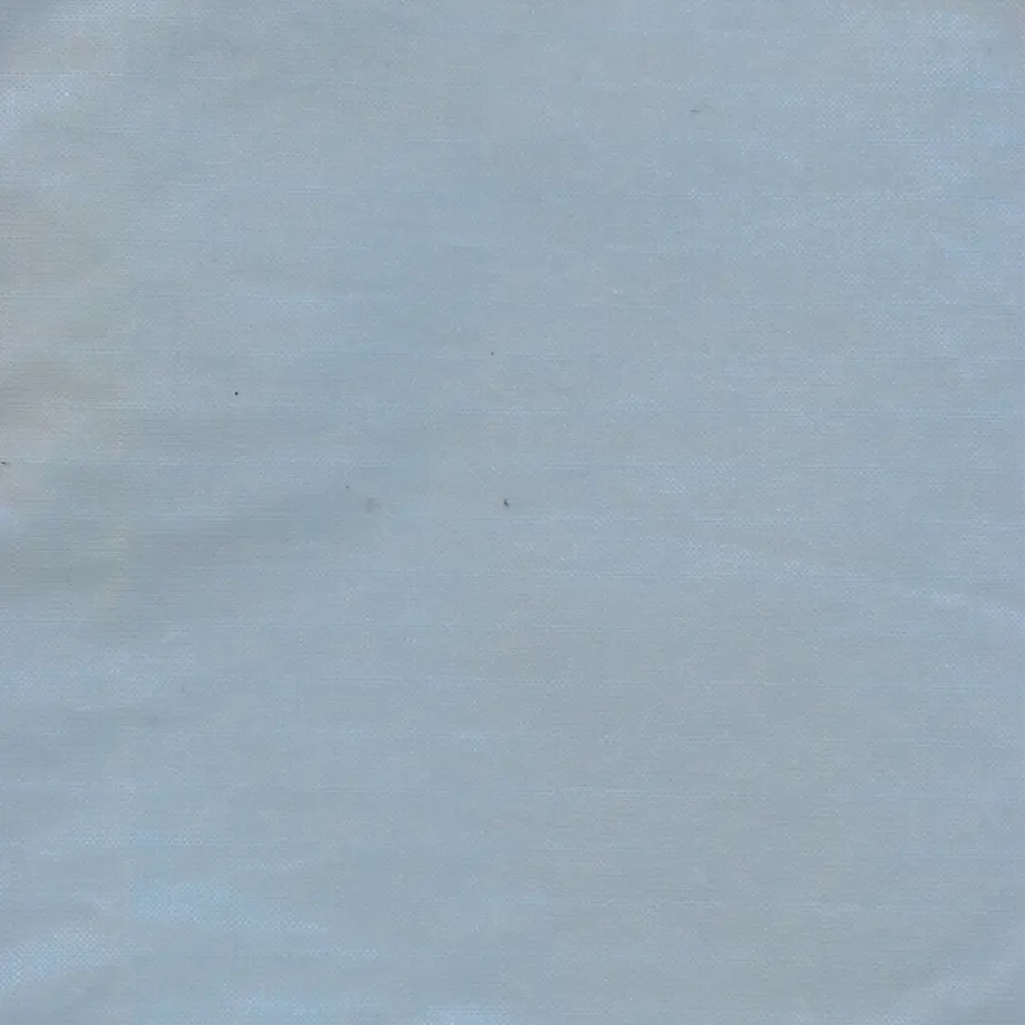 618e2347f1f39a463e2fc8ca