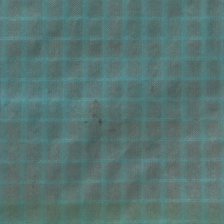 61751019f1f39a535e0cc30e