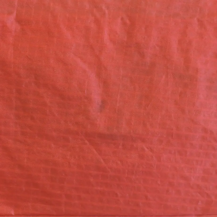 6199c41d570f67110100ba29
