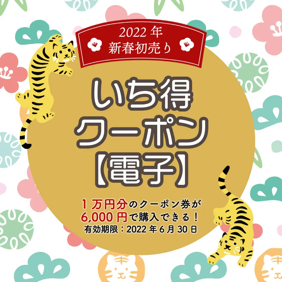 61c41c342ee5c27537ad3d15