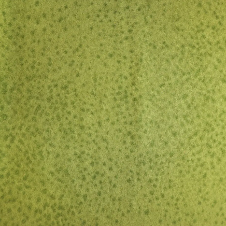 600a67e66e84d55dd36462b2