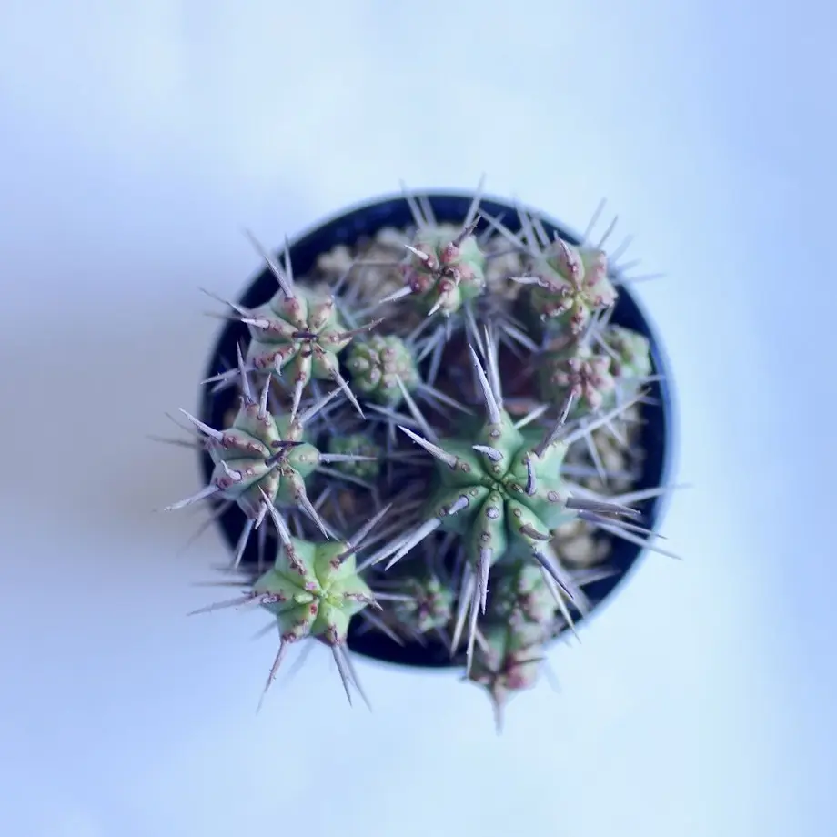 5d295bf68e69194b8223fd53