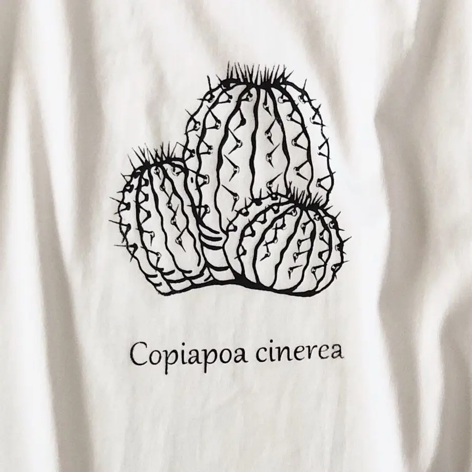 5cfb4c765aa93854065009d4