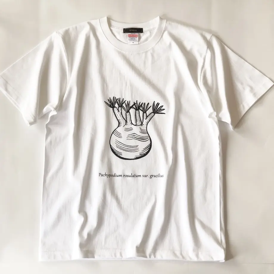 5cff2752054c243b849a9563