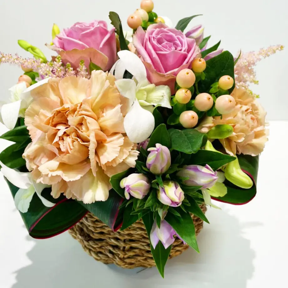59ed0cc9c8f22c79bc002bbf