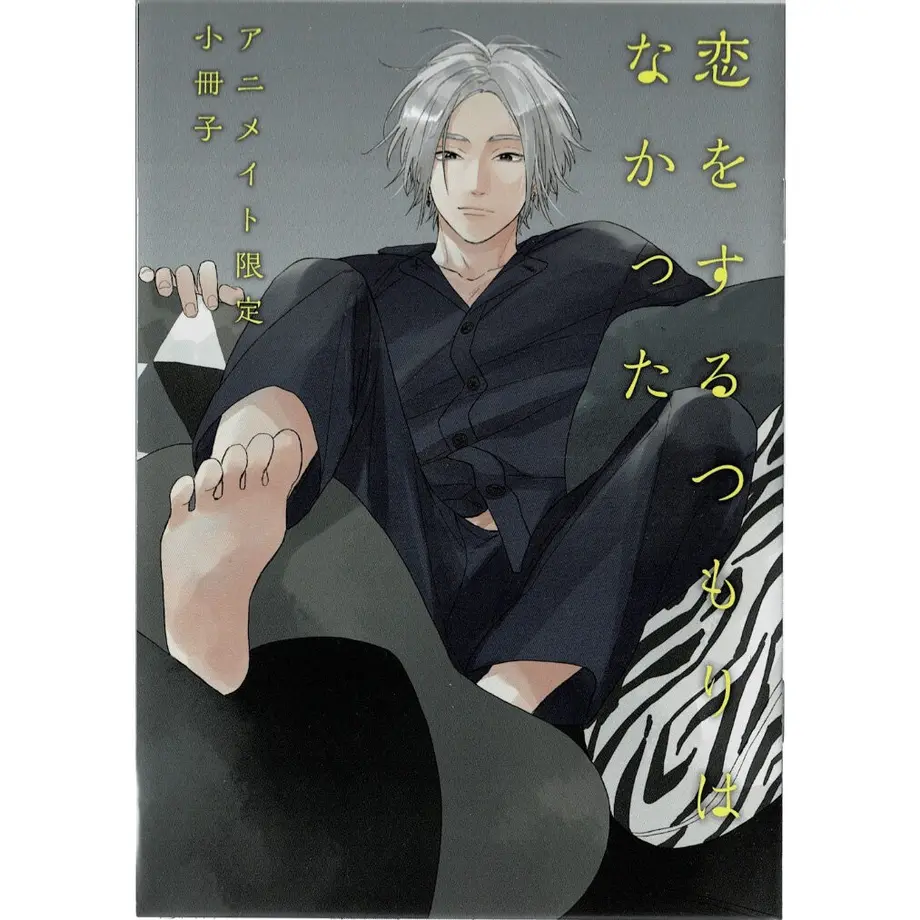 鈴丸みんた 『恋をするつもりはなかった』アニメイト限定小冊子【BLグッズ】 KBOOKS...
