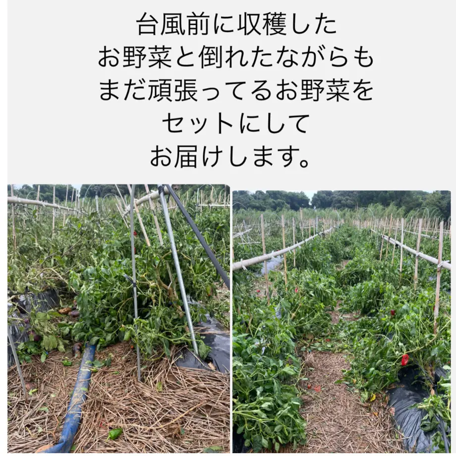 63170aea4ba8b4265893ac33