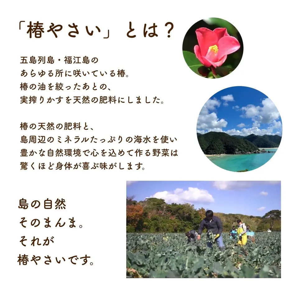 630ed1ffef80855e1f00f441