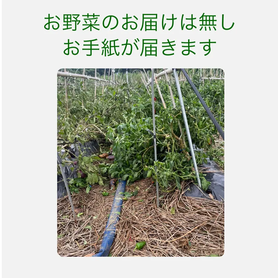 63285dc825c90651214d5e44