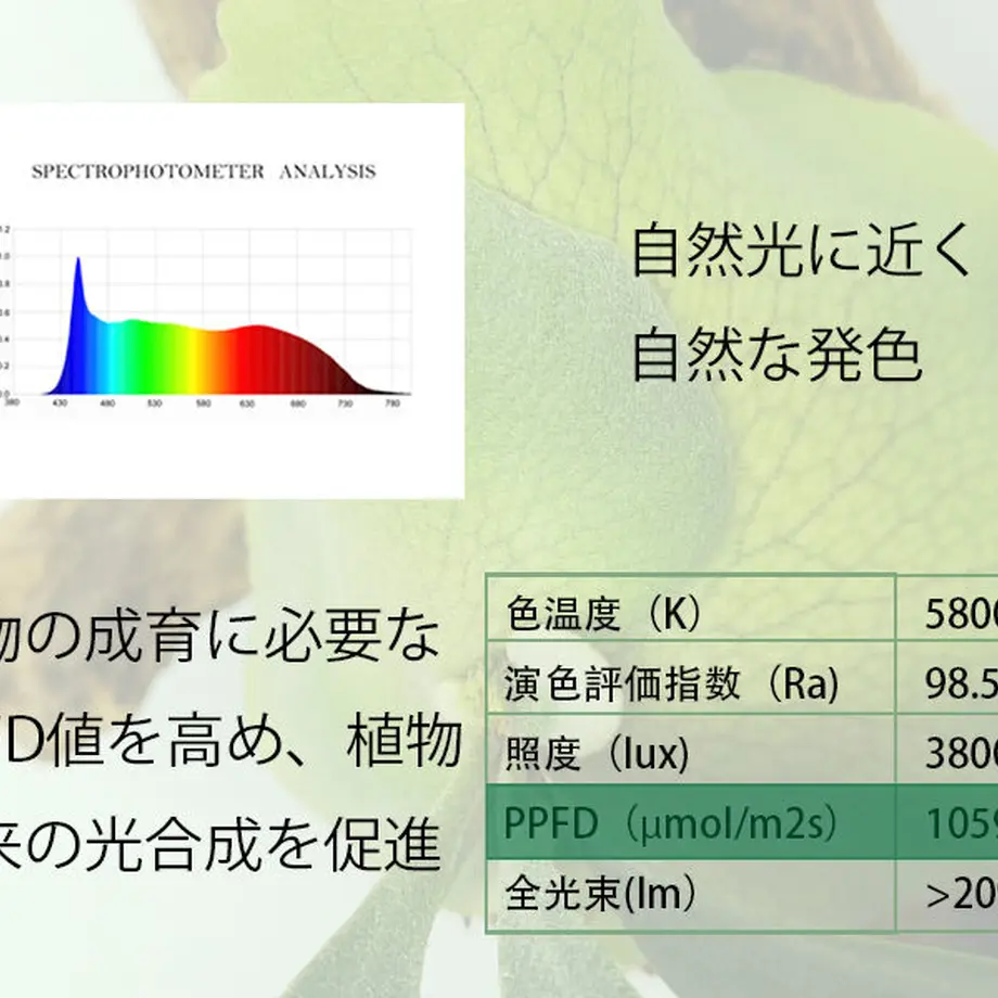 5ff66f02b00aa309dde83406