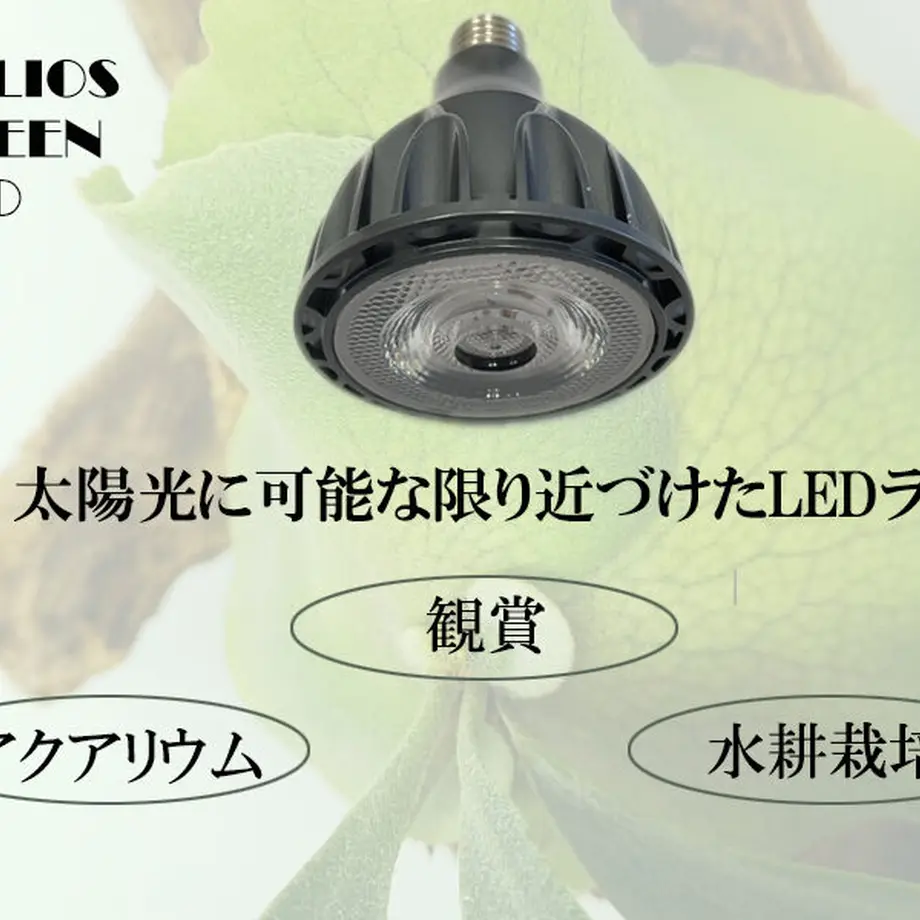 5ff66f02b00aa309dde83406