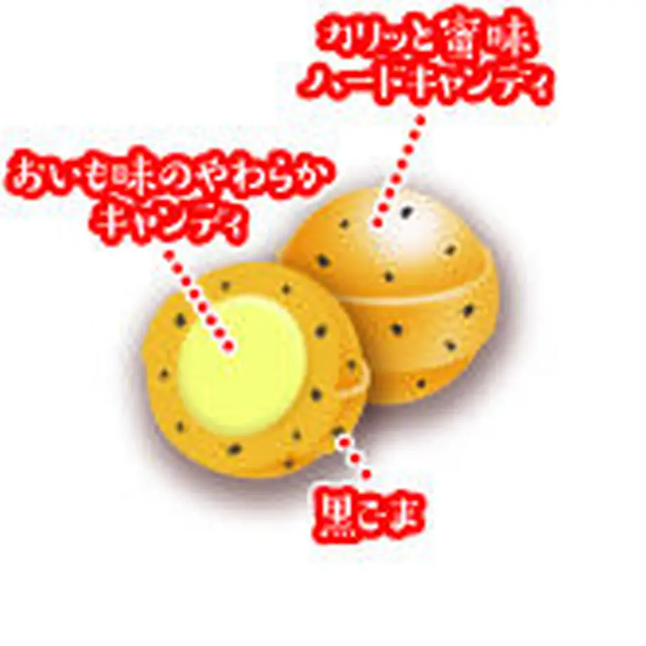 61356c84306ad3335046c31c