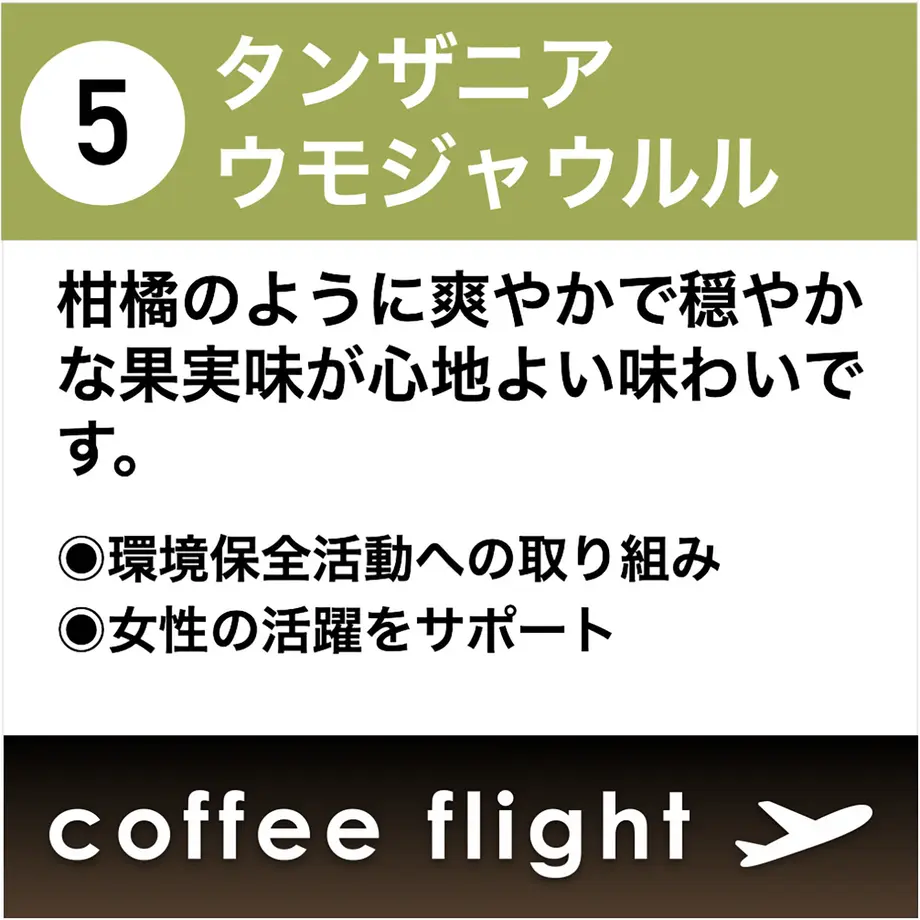 611bcb2ae50c0b14373c312c