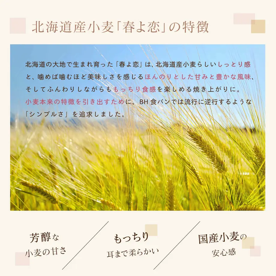 60a600b750a48a1c7cfe07b5