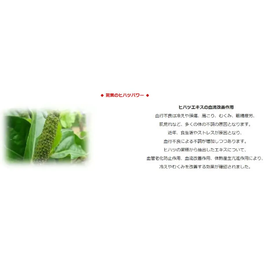 604c7f7a6e84d532ca86269a