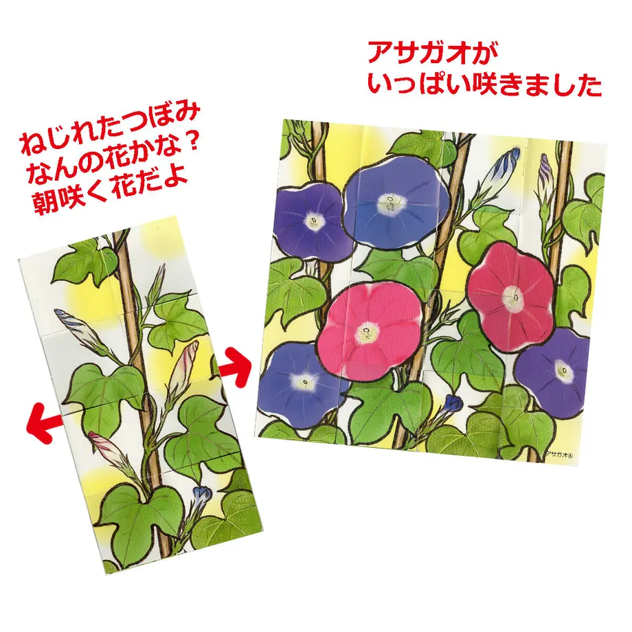 601bdf7a24386048452f14e0