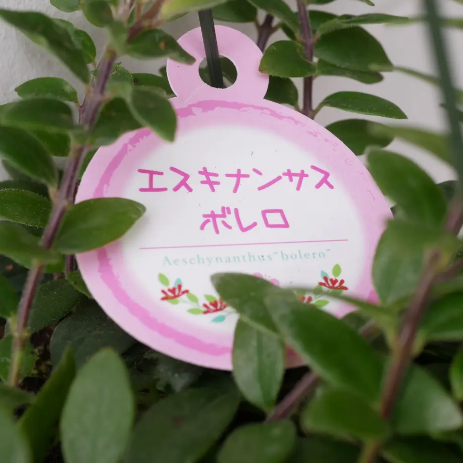 619d4ec26e84d57958bc1cc2