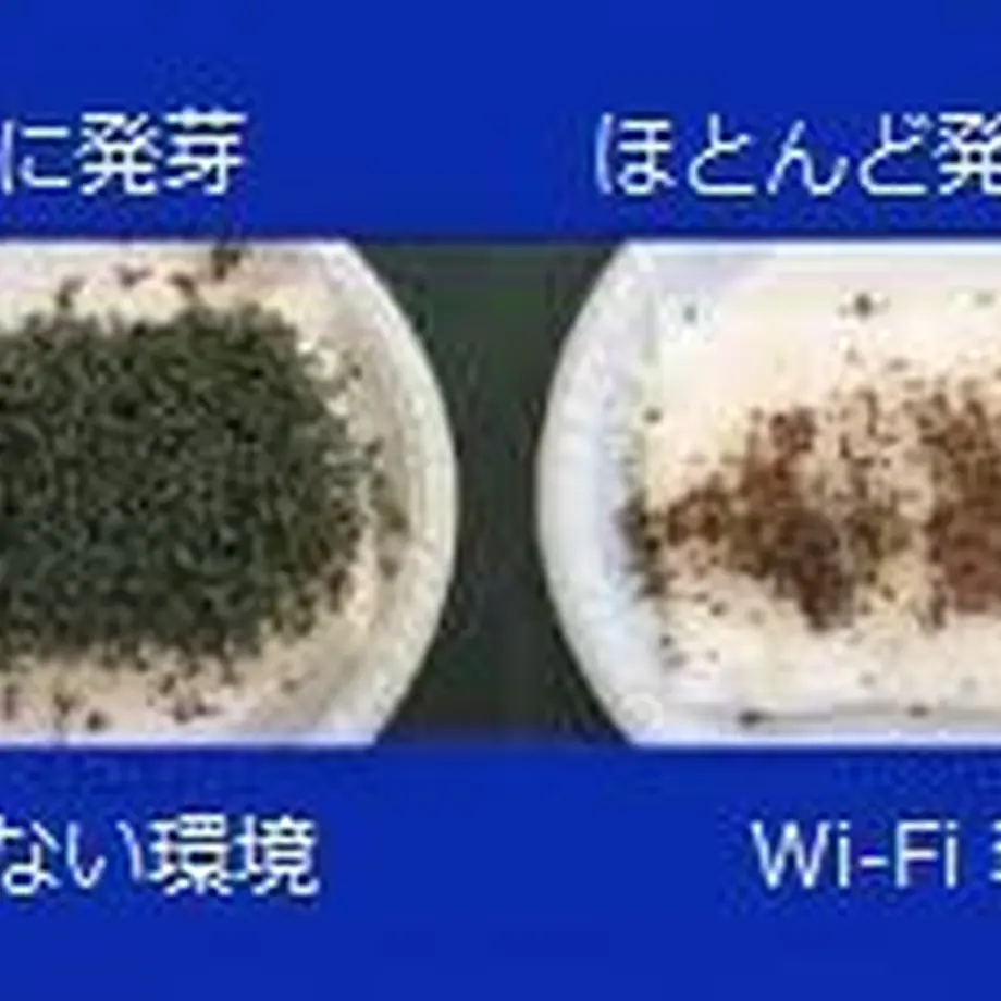5eef7408d3f1673620b2078f