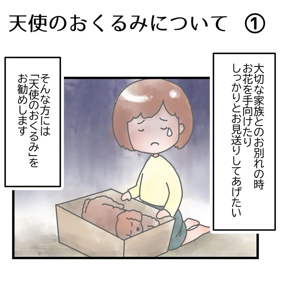 600002ba72eb465f648b6b37