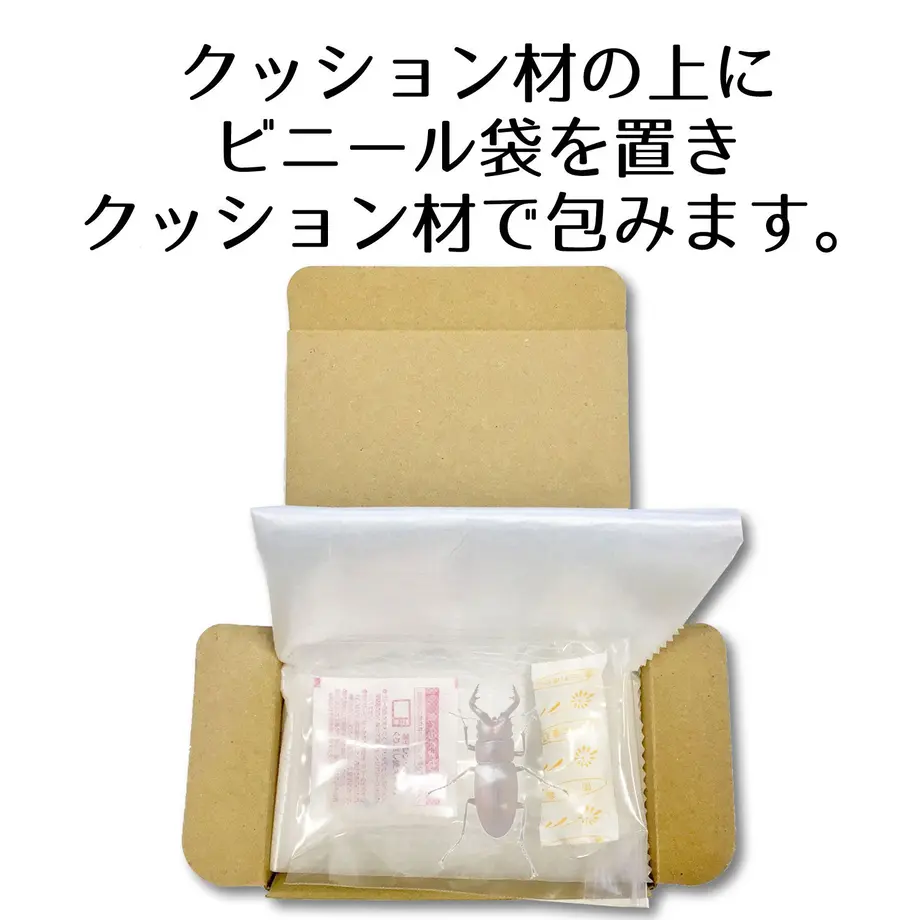 600e6836318625302c762c86