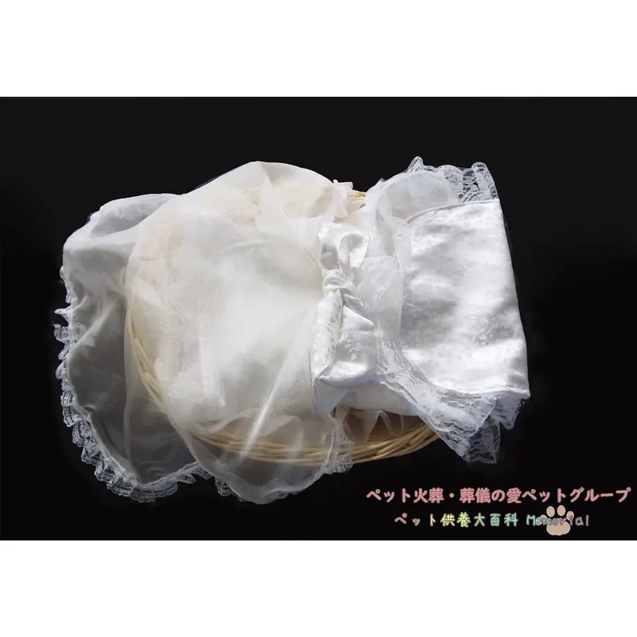 600e63ac6e84d532acc38937
