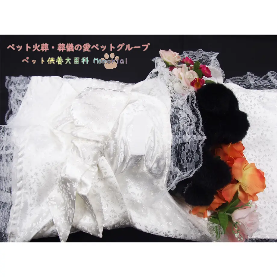 600002ba72eb465f648b6b37