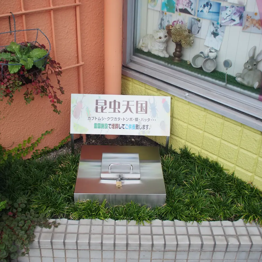 607fdf40e70dc44964c0c480