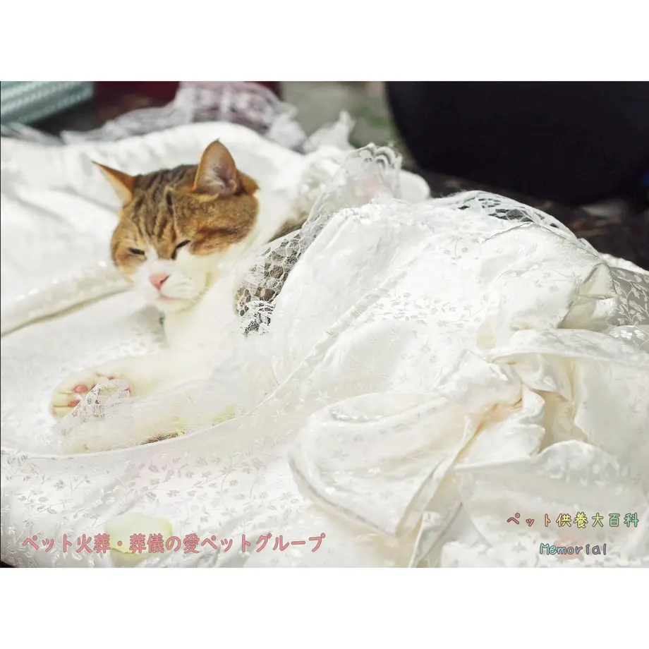 600002ba72eb465f648b6b37