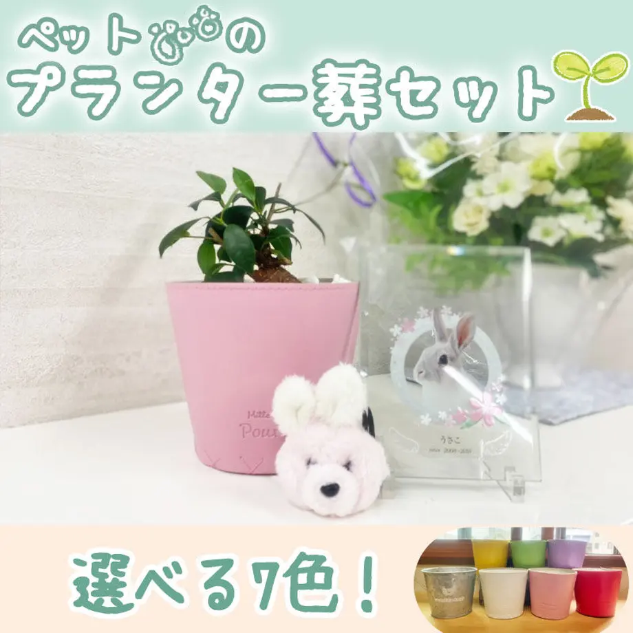 608a812f047a9d4a5c2a146a