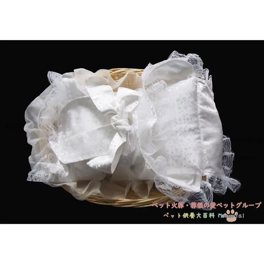 600e63ac6e84d532acc38937