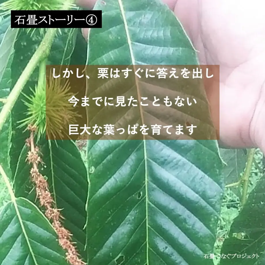 5fd74c76f0b1085a498bf9dc