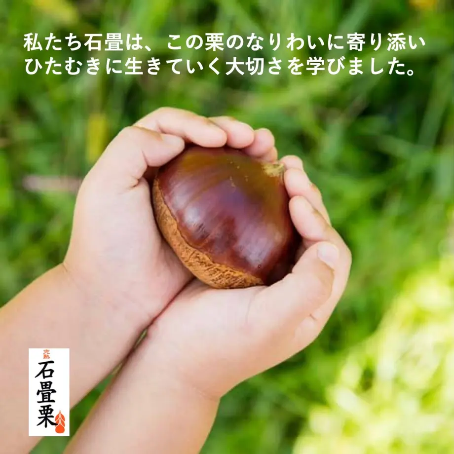 5fd74c76f0b1085a498bf9dc