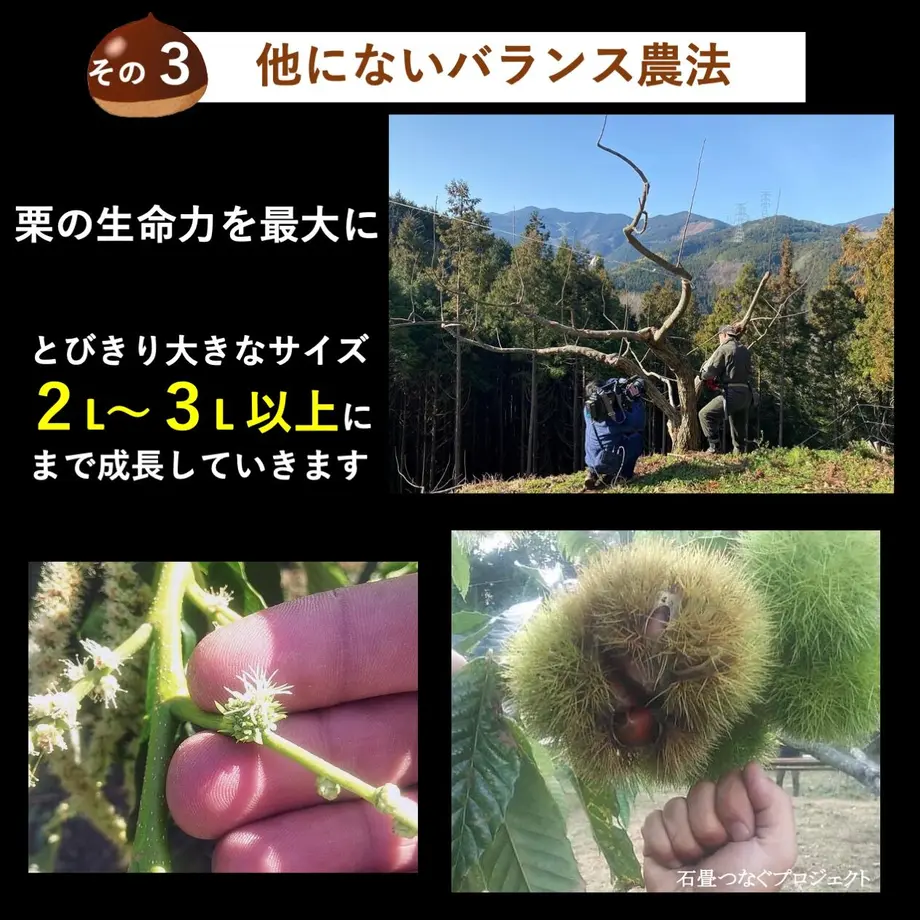5fd74c76f0b1085a498bf9dc