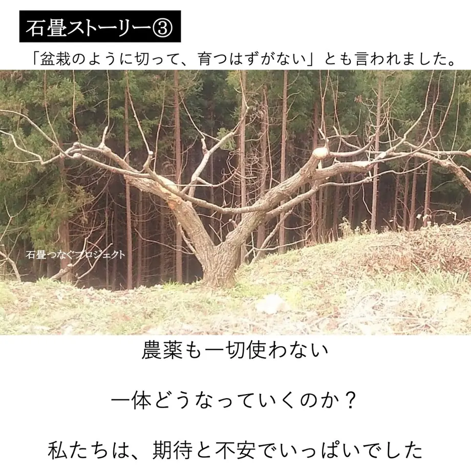 5fd74c76f0b1085a498bf9dc