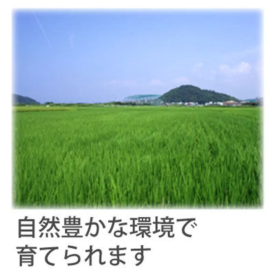 61721797f1f39a354d0cba55