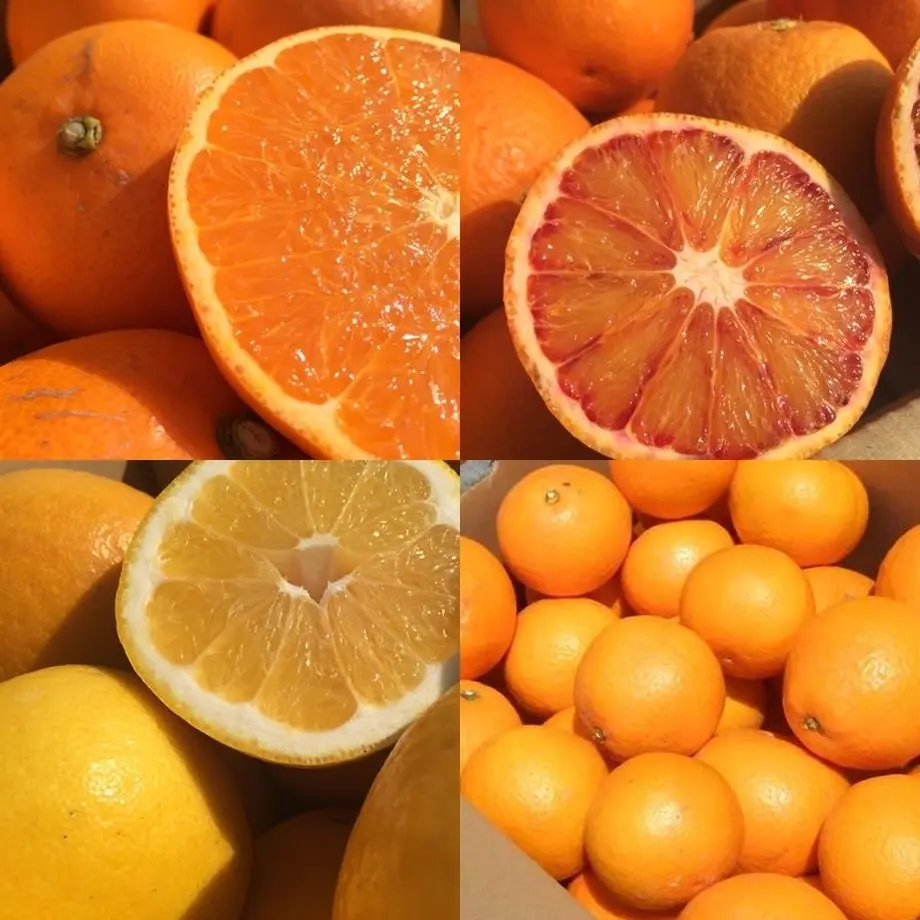 58e43f38748e5b96980063a6
