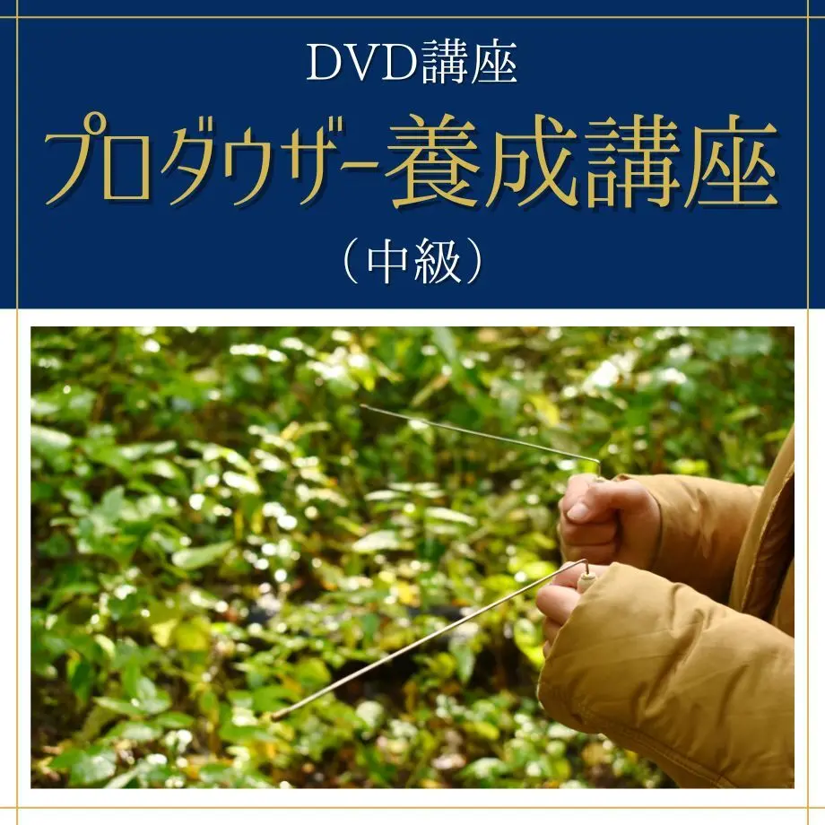 61442f2951244e47bcc491dd