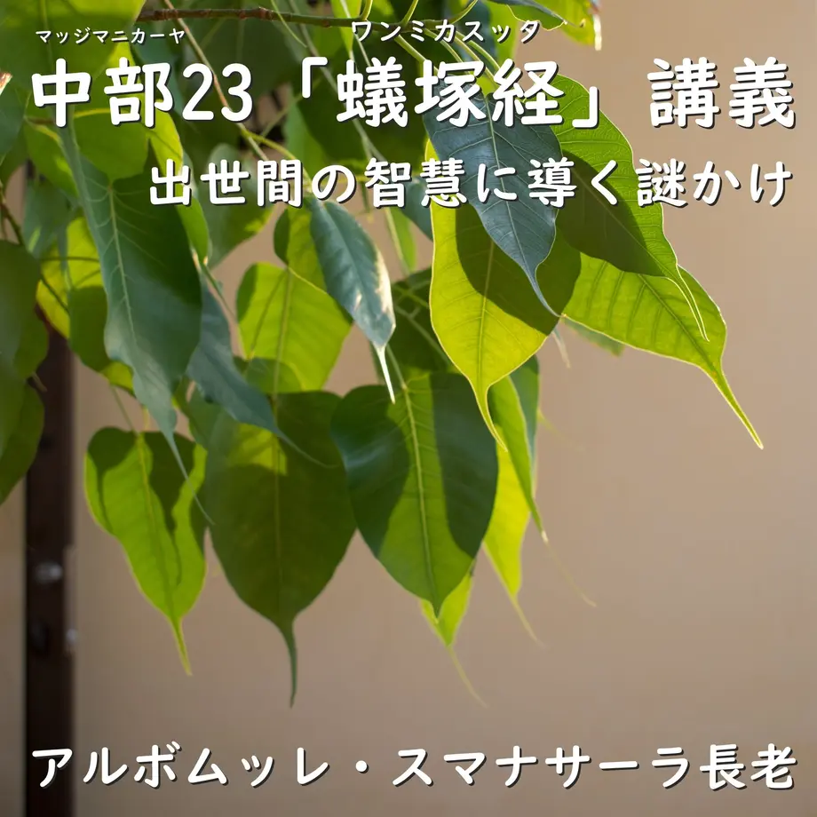 5c6fb38b6870247a60317571