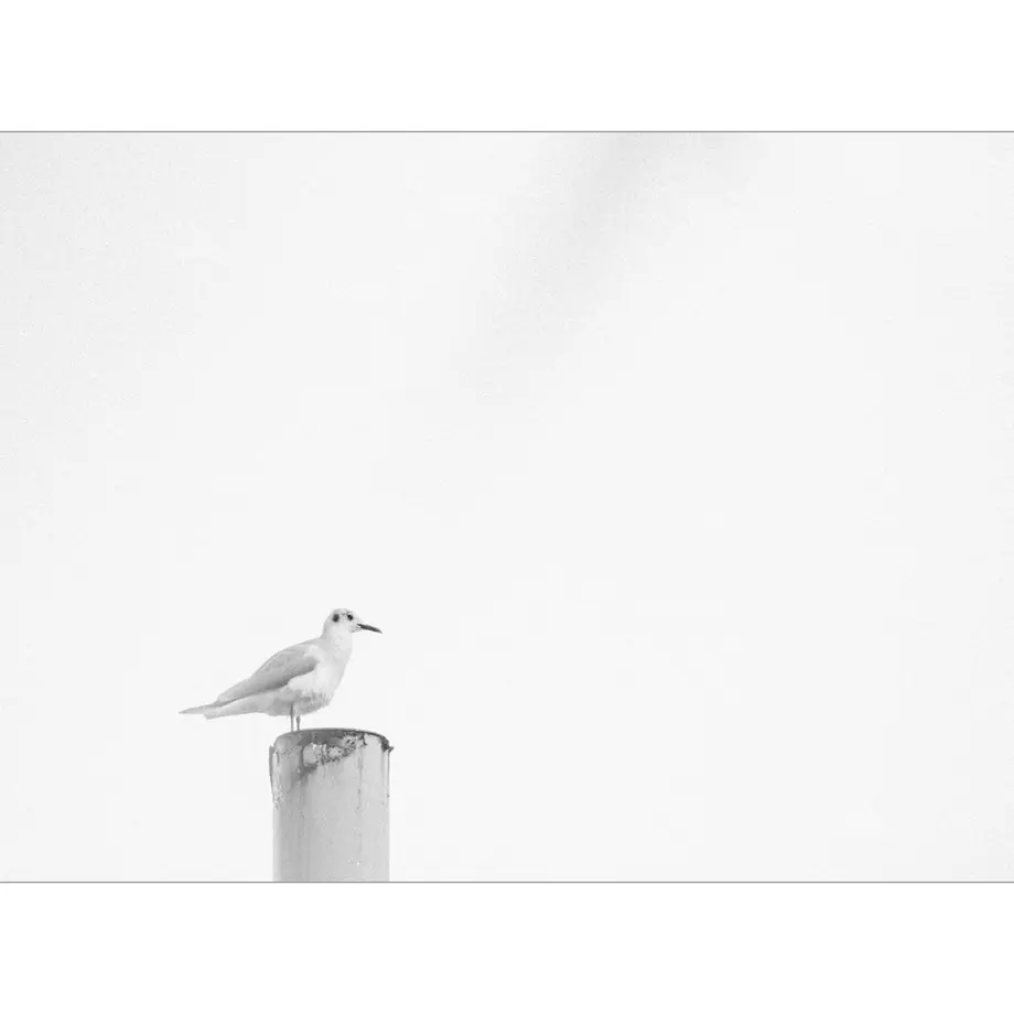 5d860980ff78bd3941b8e18b