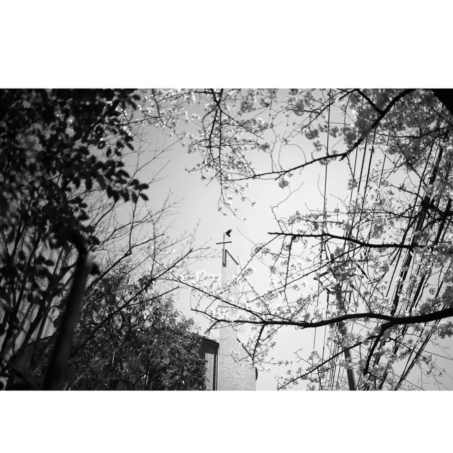 628775b284ec6e655dcbadc9