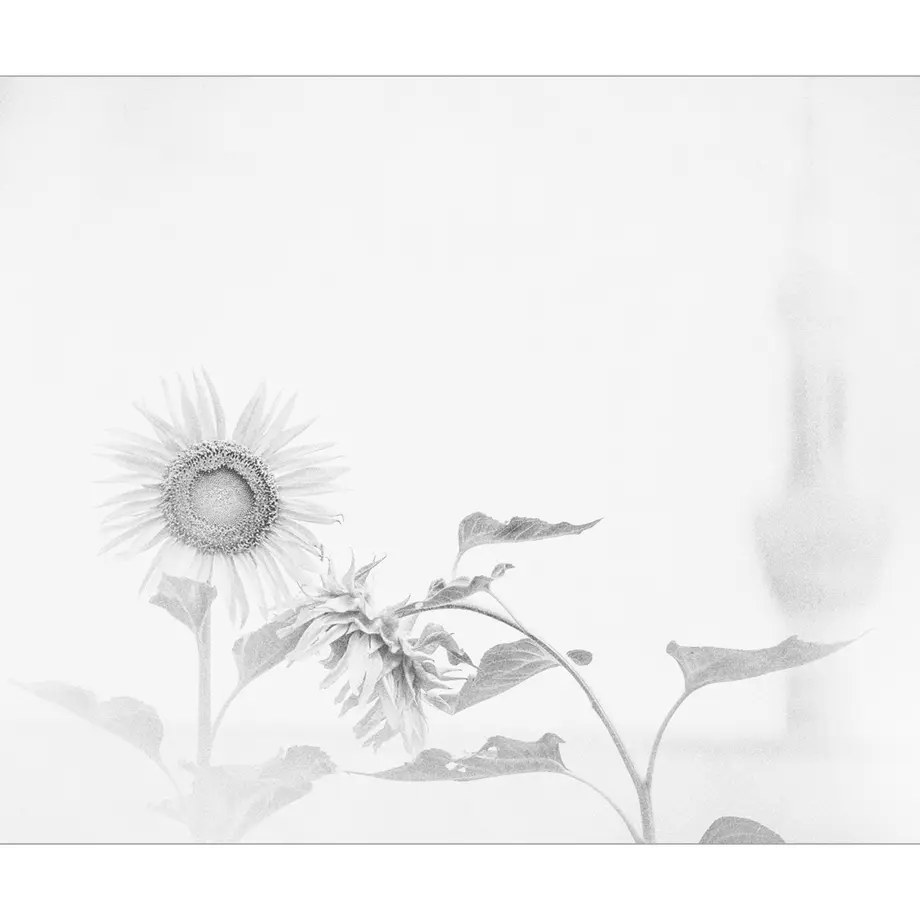 5d8606a4220e753830874448